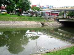 vietbao.vn Tolich