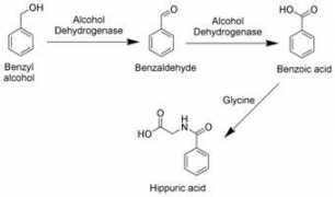 cs.mcgill.ca Toluene