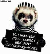 lol.hu Tolvaj
