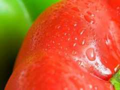 Tomato