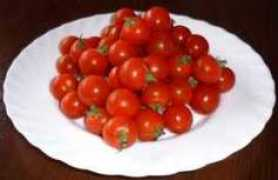 w-21.net Tomatto