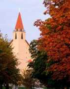 Tomkus