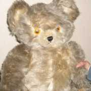 Tommat