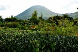 sidomi.com Tomohon