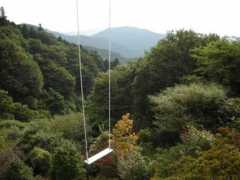 Tomoi