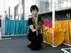 catagility.org Tomonari