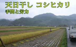 niigata-kome.jp Tomotaki
