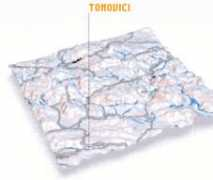 Tomovici