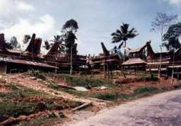 Tondok