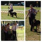 worldclassrottweilers.com Tondor