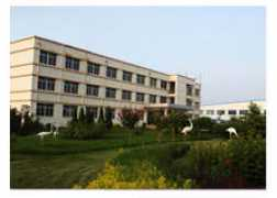 czhcjj.com Tongde