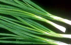 Tonhom