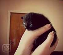 miciny.cz Tonicka