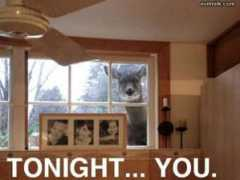 evilmilk.com Tonight