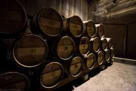 suri.morkitu.org Tonneaux