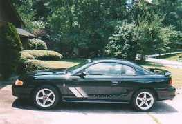 mustangworld.com Tonyas