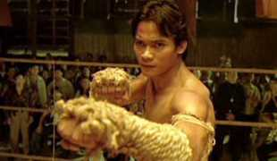 completemartialarts.com Tonyjaa