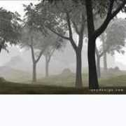 english-portal.com Tonytan