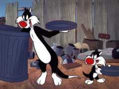 Toons