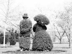 Topiary
