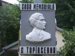 primaria-iasi.ro Topirceanu