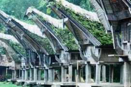 beta.trekearth.com Toraja