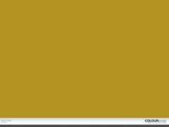 colourlovers.com Torang