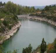 Toras