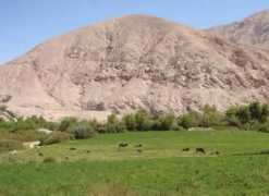 perutoptours.com Torata