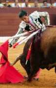 diariosur.es Torean