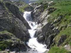 ebi.ac.uk Torente