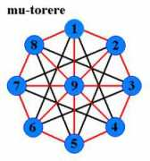 Torere