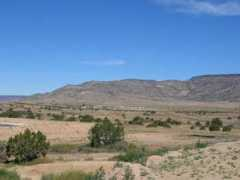 lpl.arizona.edu Toreva