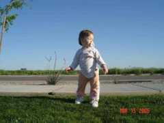 Torih