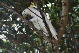 catchouchoukangourous.uniterre.com Torkay