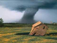 dinosoria.com Tornade