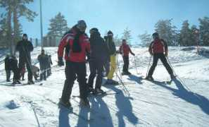 zlatibor.org.rs Tornik