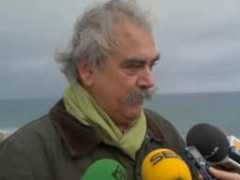 Torreh