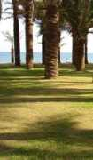 panoramio.com Torremolinos
