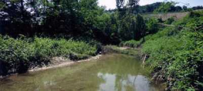 collineforlivesi.it Torrenti