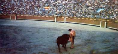 ovi.ch Torrero