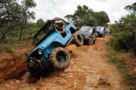 familiabacalhau4x4.com.br Tortinho