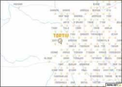 nona.net Tortiv