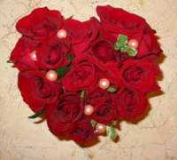 bloomart.jp Tosma