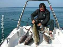 biggame.it Totano