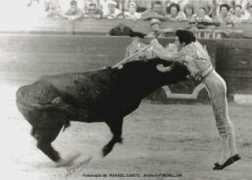 Totero