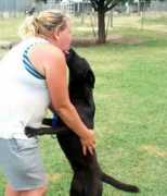 straydog.org Totina