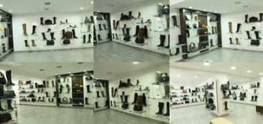 toulipshoes.com Toulip