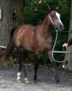lydielemmens.free.fr Touraya