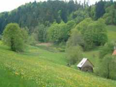hanshekler.de Tourismus